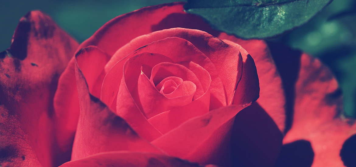 免费轰炸电话软件